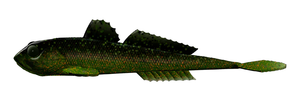 Silikona māneklis Libra Lures Gobio 7.3"