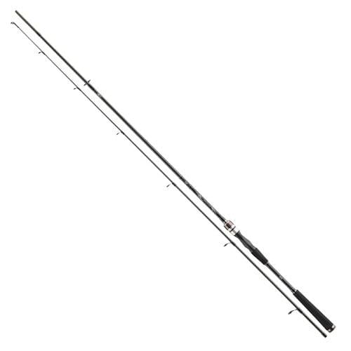 Spinings Daiwa Exceler Spin 3.00m 15-50g