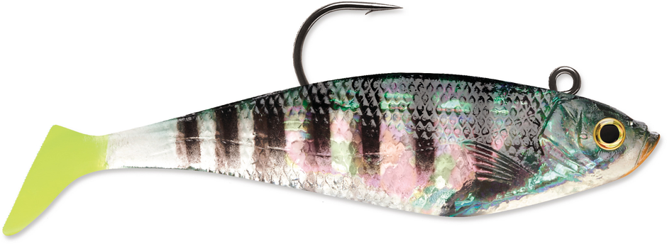 Silikoonpeibutis Rapala WildEye® Swim Shad 4"