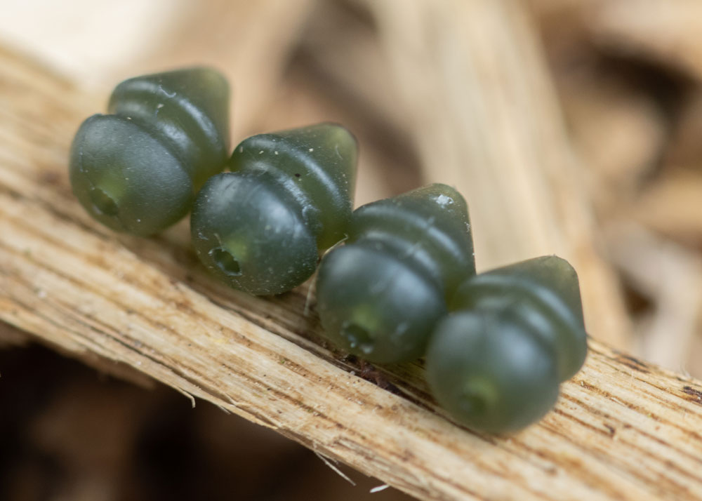 Krystoni helikopteri helmed 8mm x 6mm