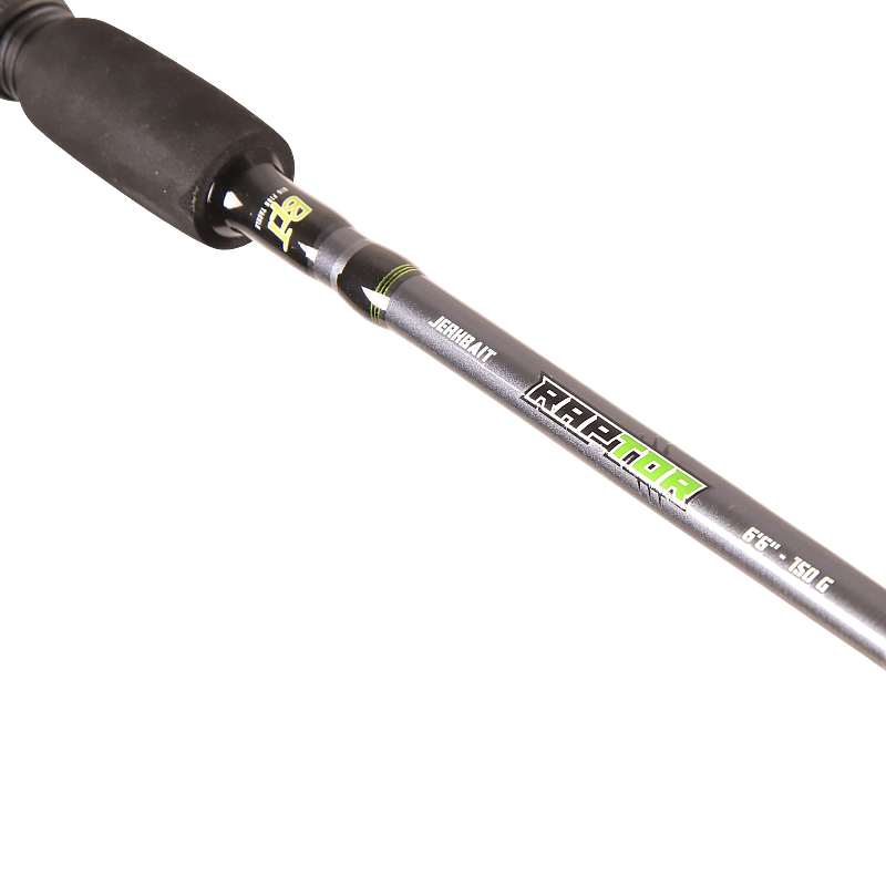 Spinings BFT Raptor G2 Pike Multi 8' -100g