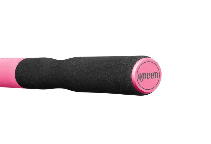 Fīderis Delphin QUEEN Feeder + 3 tips 360cm/100g