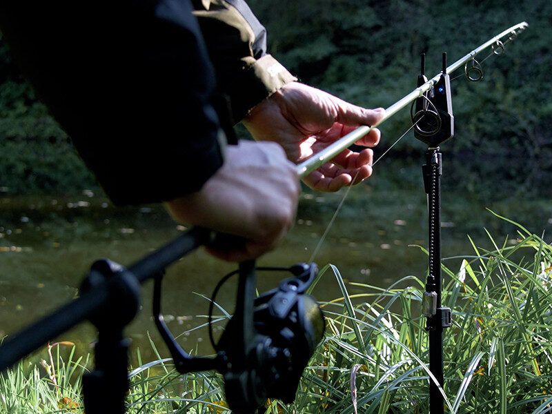 Rull Delphin AMOX 5T DP