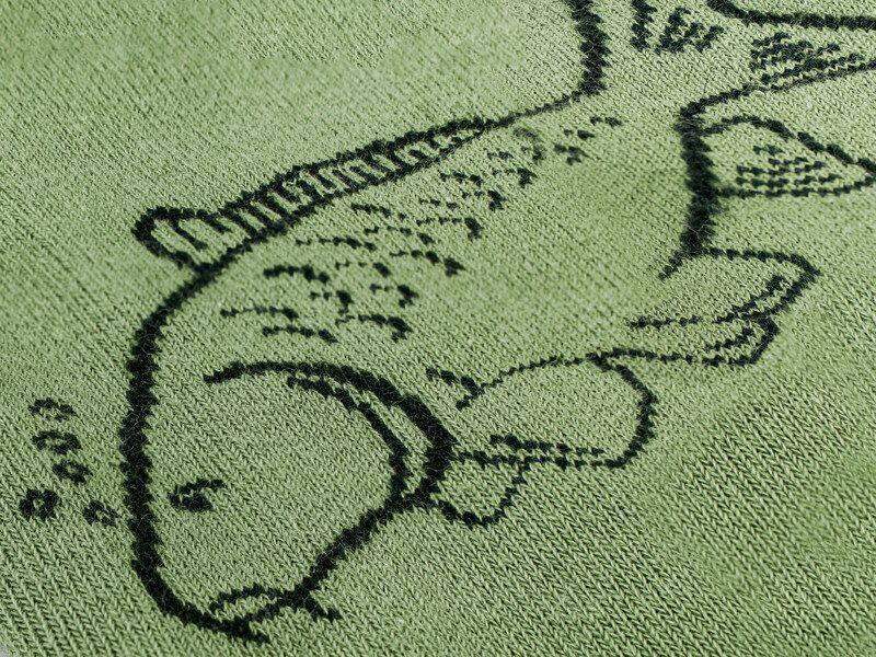 Zeķes Delphin CARP izmērs 41-46 / Socks Delphin CARP size 41-46