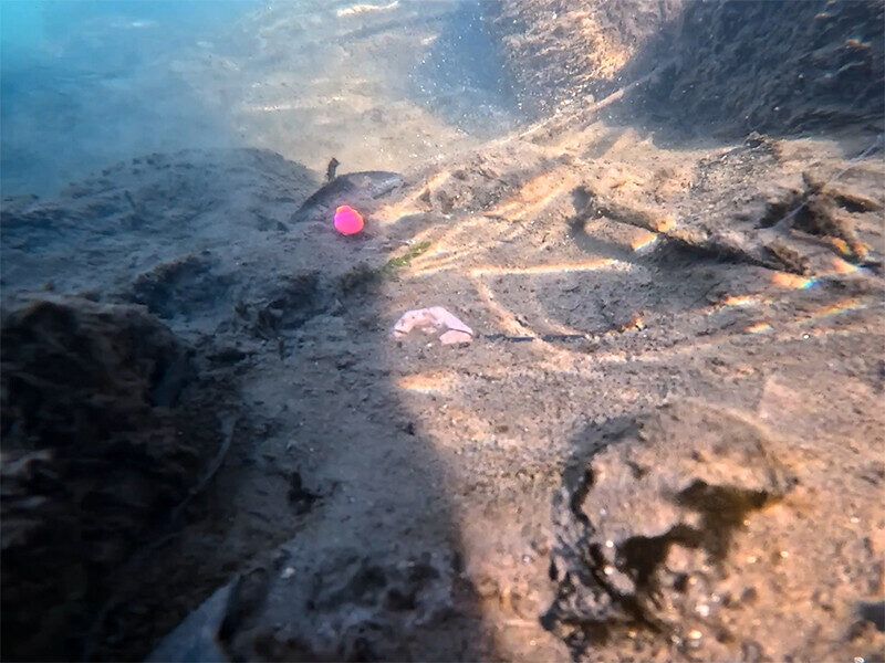 Plii Delphin CyberBARBED