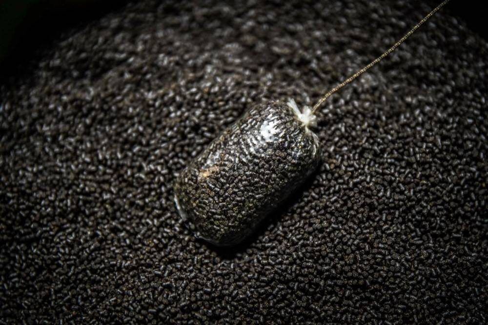 Pelletid SHIMANO Isolate Pellet HP