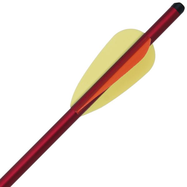 Arbaleta bultas Anglo Arms Crossbow Bolts - 16"/40cm