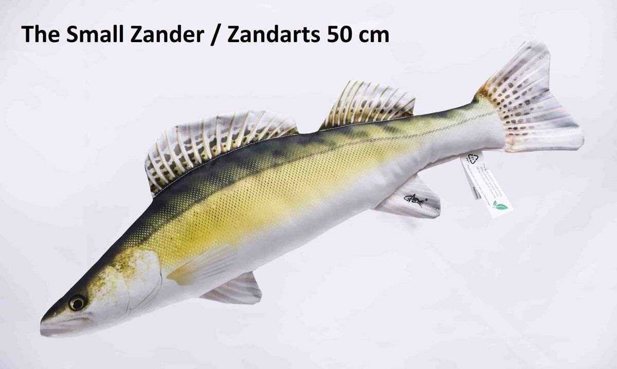 Spilvens Zandarts mazs 50cm / Zander Pillow small 50cm