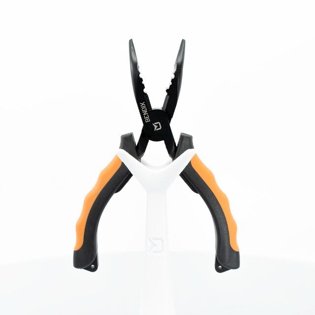 Delphin BENDIX tangid