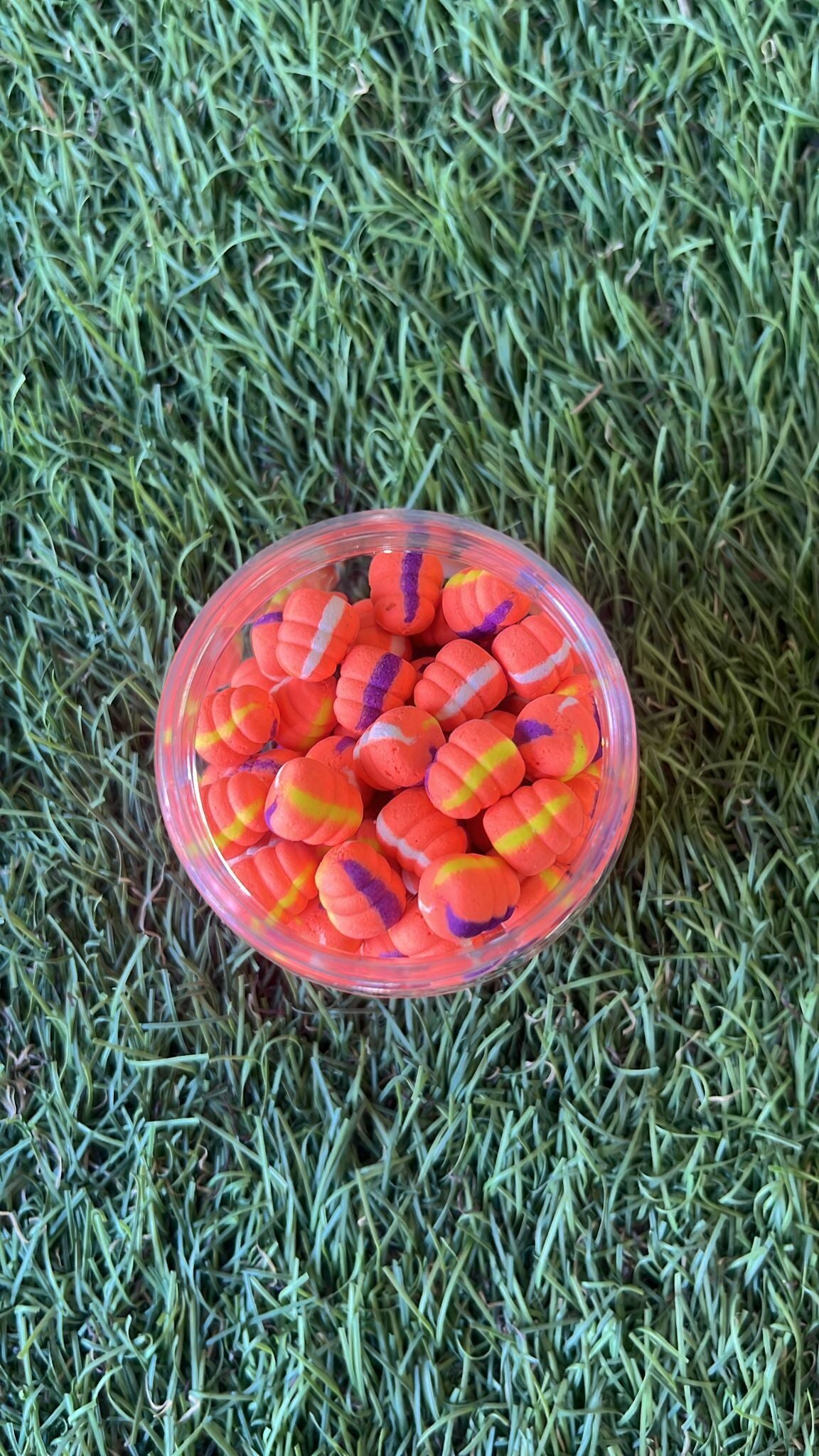 Pasaules čempionu boilas BoilieLab BoilasLV PopUp Gliemezītis / Shell daudzkrāsains