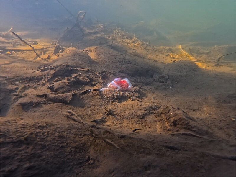 Plii Delphin CyberBARBED PVA toru