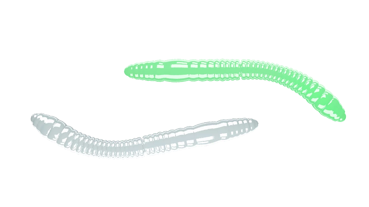 Silikoonlandid Libra Lures Fatty D'Worm Tournament 55