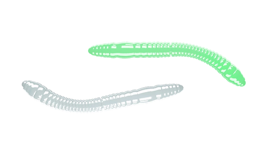 Silikoonlandid Libra Lures Fatty D'Worm Tournament 55