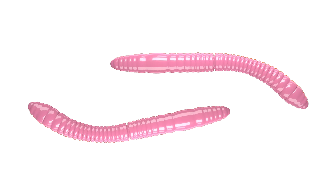Silikoonlandid Libra Lures Fatty D'Worm Tournament 55