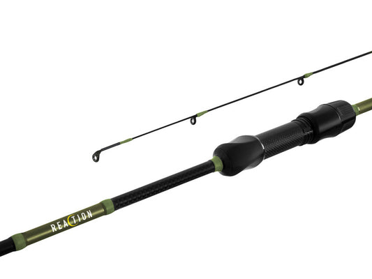 Spinings Delphin reaCtion