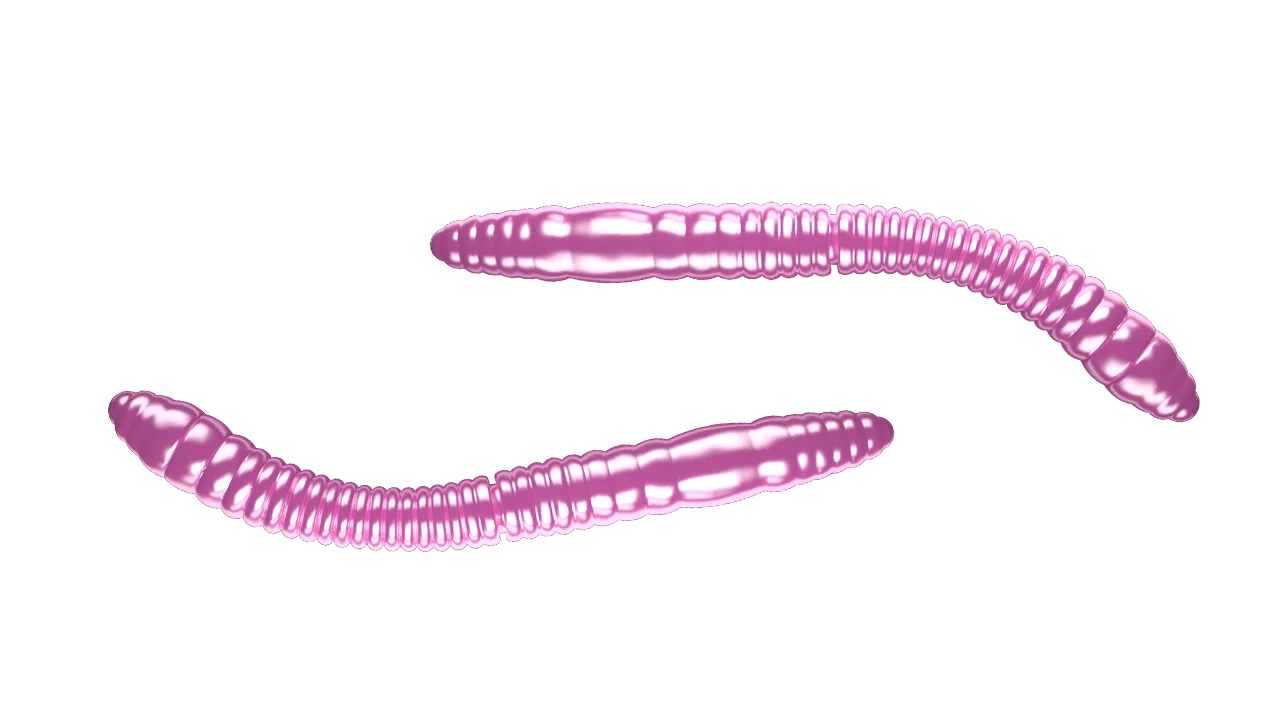 Silikoonlandid Libra Lures Fatty D'Worm Tournament 55