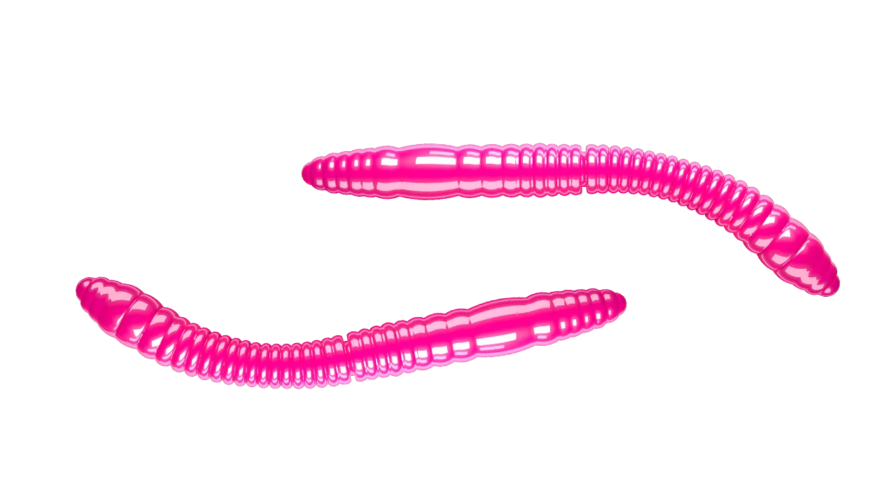 Silikoonlandid Libra Lures Fatty D'Worm Tournament 55