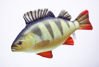 Spilvens Asaris 32cm / The Mini Perch 32cm