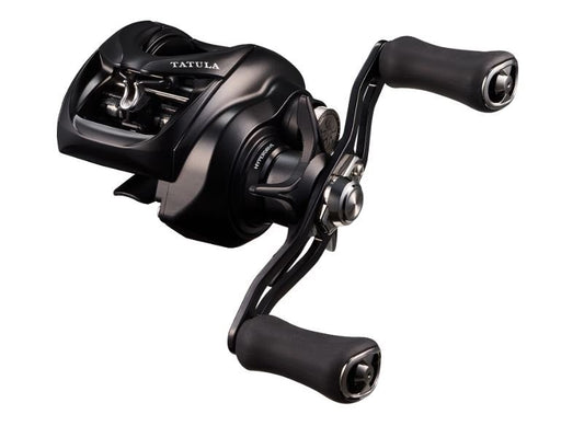 Multirull Daiwa 25 TATULA TW 200XHL