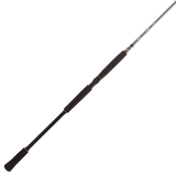 Spinninguritv BFT Raptor G2 Spinn Pike Multi 8' -100g 2pcs Casting