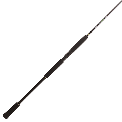 Spinings BFT Raptor G2 Pike Multi 8' -100g
