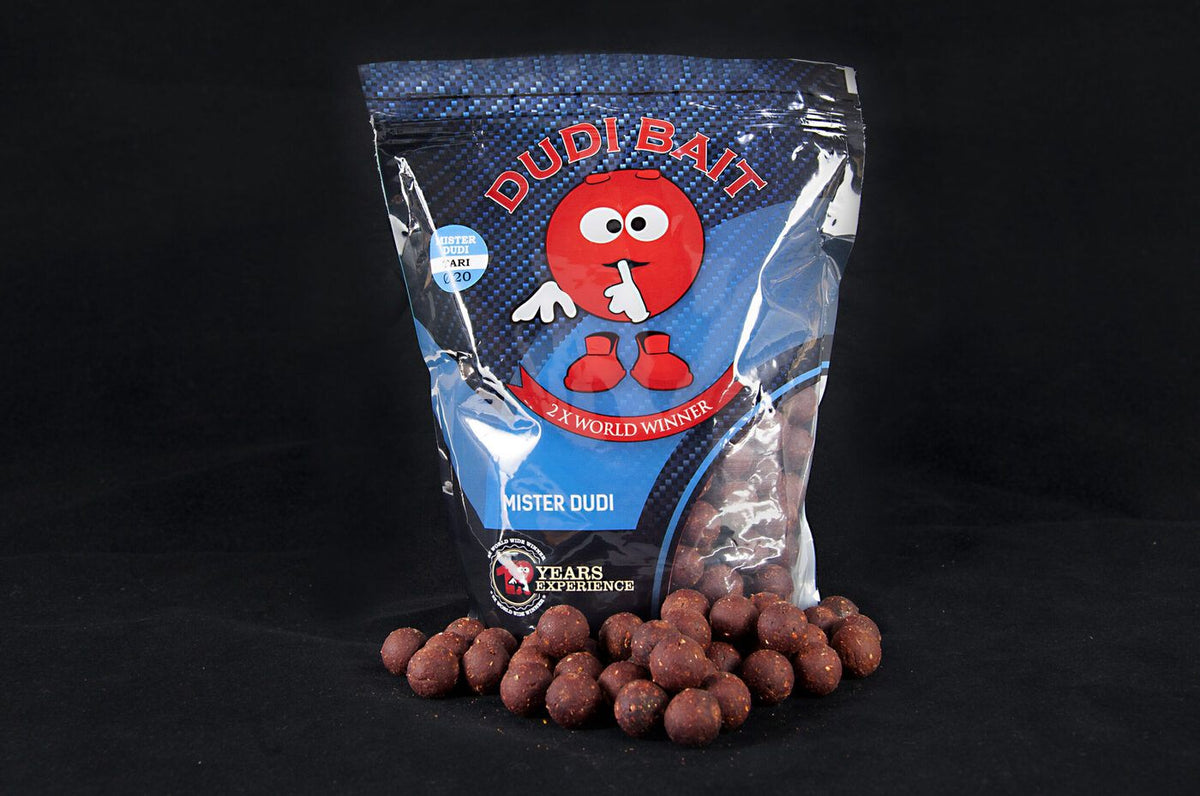 Boilas Dudi Bait "Mister Dudi" Tari