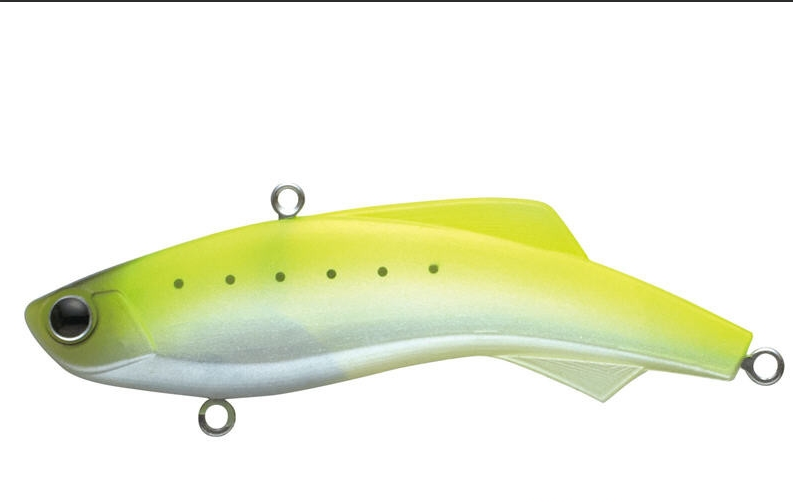 VIB MADNESS Shiriten Vibe 73