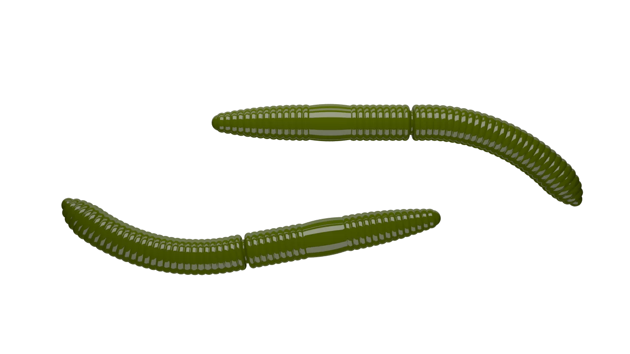 Silikoonist landid Libra Lures Fatty D'Worm 65