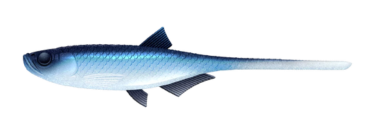 Silikoonlant Libra Lures Bleak Slug Tail 8.2"