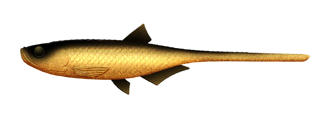 Silikoonlant Libra Lures Bleak Slug Tail 8.2"