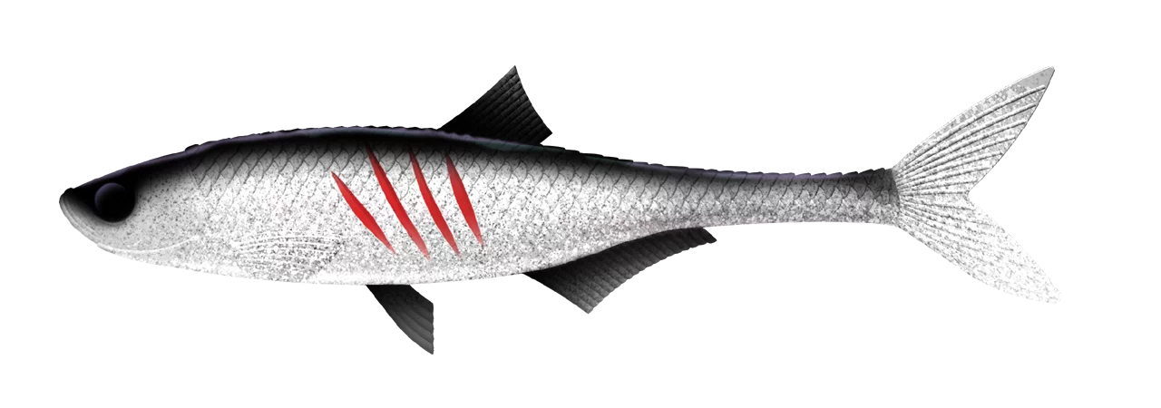 Silikoonlant Libra Lures Dead Fish 6.7"