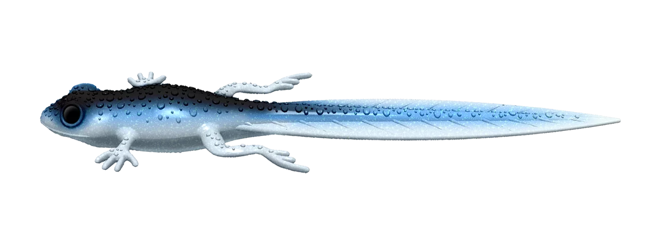 Silikoonlant Libra Lures Frog Tadpole Tails 8.2"