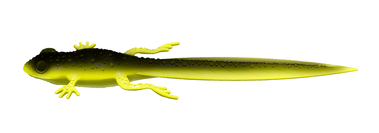 Silikoonlant Libra Lures Frog Tadpole Tails 8.2"