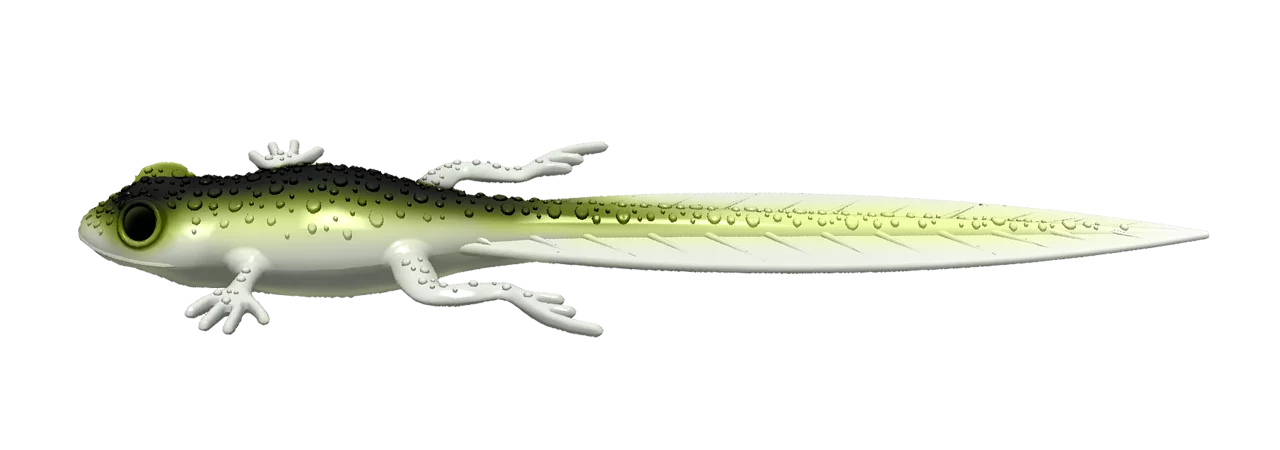 Silikoonlant Libra Lures Frog Tadpole Tails 8.2"