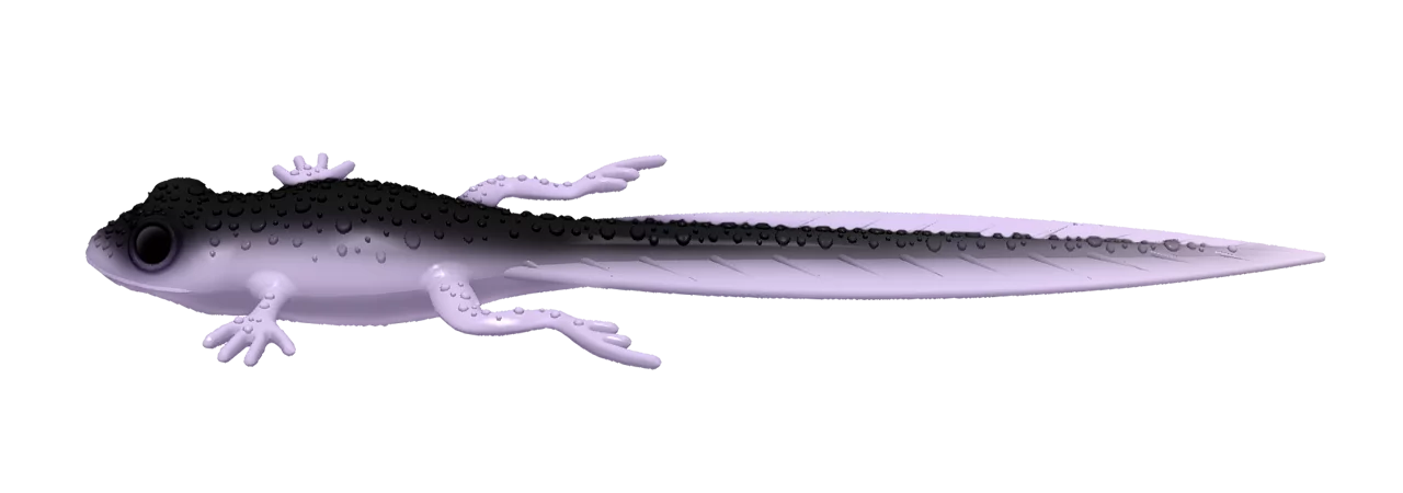 Silikoonlant Libra Lures Frog Tadpole Tails 8.2"