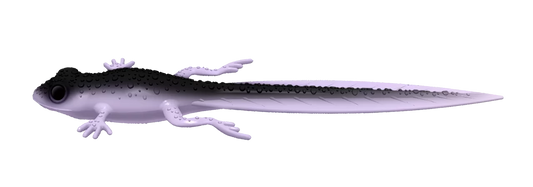 Silikoonlant Libra Lures Frog Tadpole Tails 8.2"