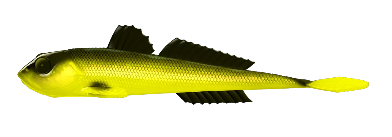 Silikona māneklis Libra Lures Gobio 7.3"