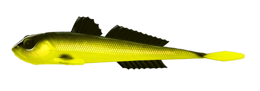 Silikoonist lant Libra Lures Gobio 7.3"
