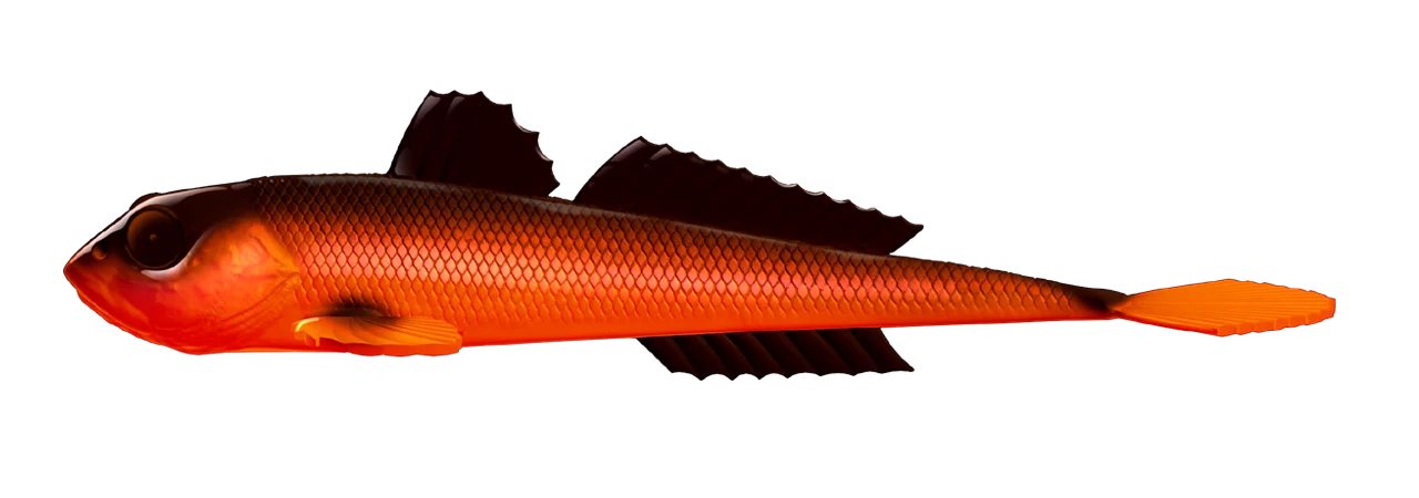 Silikona māneklis Libra Lures Gobio 7.3"