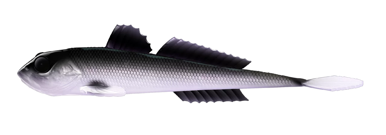 Silikona māneklis Libra Lures Gobio 7.3"
