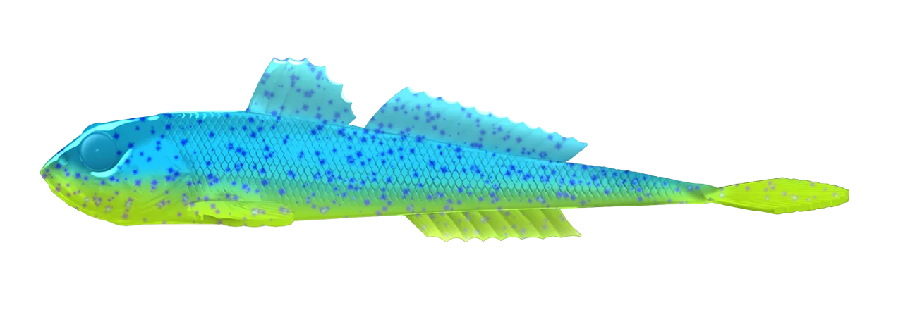 Silikona māneklis Libra Lures Gobio 7.3"
