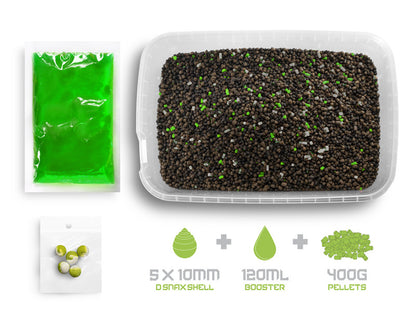 PVA / Method mix  Delphin Reaxe READY&GO / Garlic-Butyric