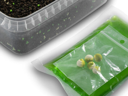 PVA / Method mix  Delphin Reaxe READY&GO / Garlic-Butyric