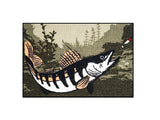 Vaip Delphin CatchME! ZANDER