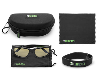 Saulesbrilles Delphin WIZIO