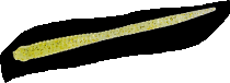 Silikona Mānekļi Bait Breath Needle Real Fry 2" Salt Water #467