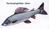 Harjuse padi 65cm / harjuse padi 65cm