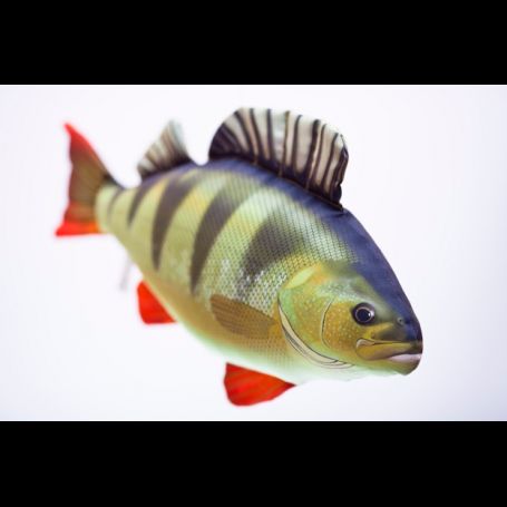 Spilvens asaris 50cm / perch pillow 50cm