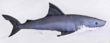 Suur haipadi 120cm