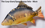 Karpkala padi suur 90cm / Karpkala padi suur 90cm